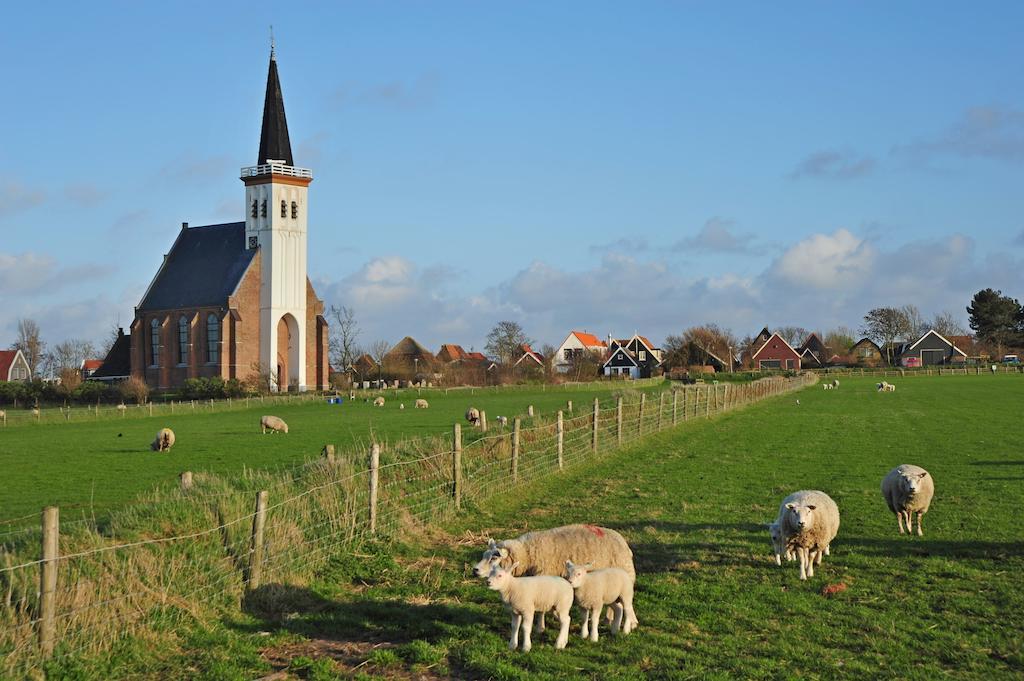 לינה וארוחת בוקר דה קוח Witte Weelde Texel מראה חיצוני תמונה